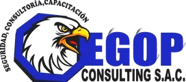 Egop Consulting